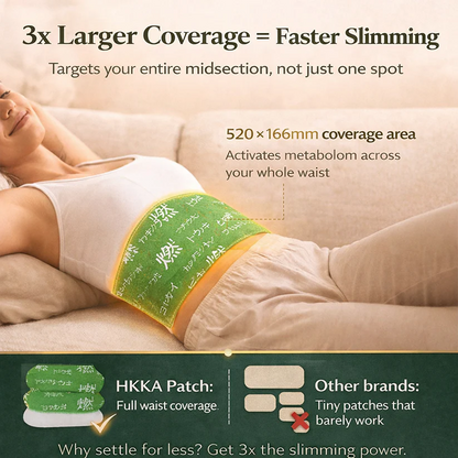 Hanpo Japanese Herbal patch